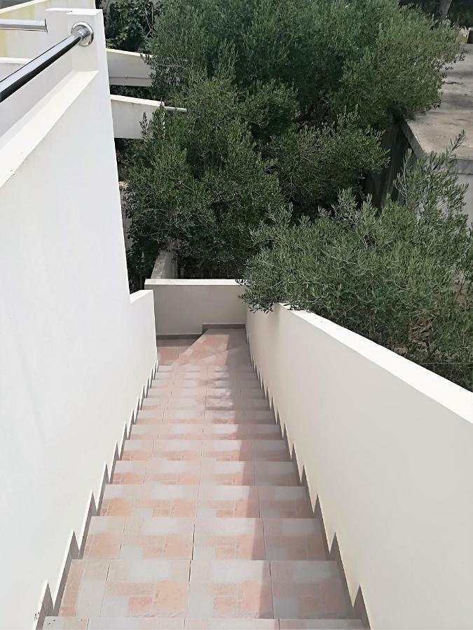 Apartman Rosanda Premuda エクステリア 写真