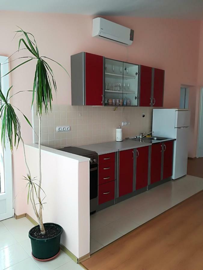 Apartman Rosanda Premuda エクステリア 写真